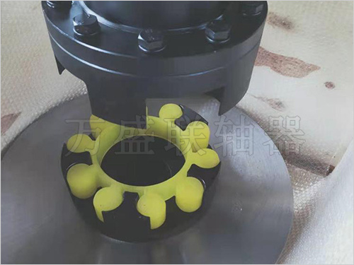 LMPK型带制动盘梅花联轴器